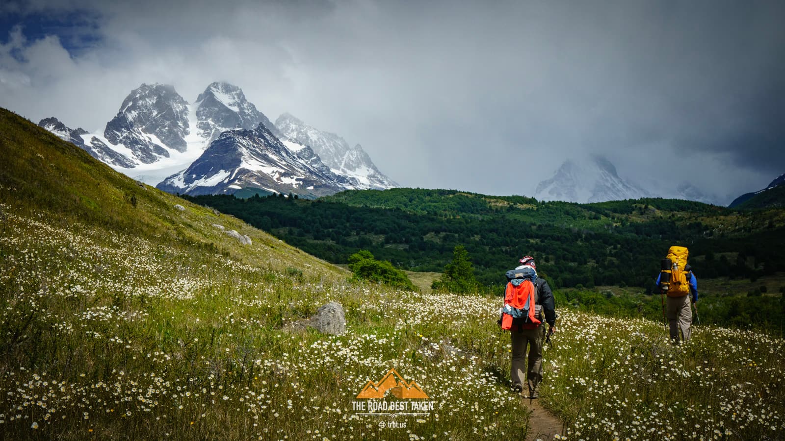 Torres del Paine, Patagonia #1 - 