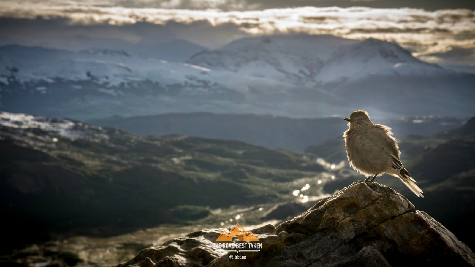 Torres del Paine, Patagonia #9 - 